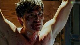 偏惹枭雄,传奇女子的逆袭之路